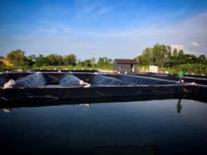 Bể bạt nuôi cá HDPE