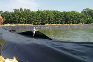 Bạt lót hồ chứa nước HDPE