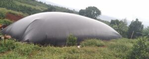 Bạt biogas