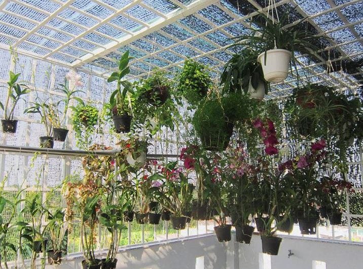 Lưới che phủ ánh sáng 50%