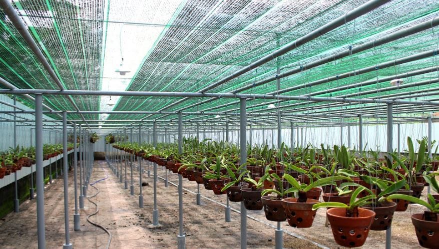Lưới che nắng vườn lan