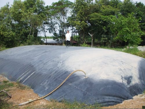 màng chống thấm HDPE làm hố Biogas