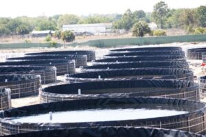 Bể nổi bạt HDPE