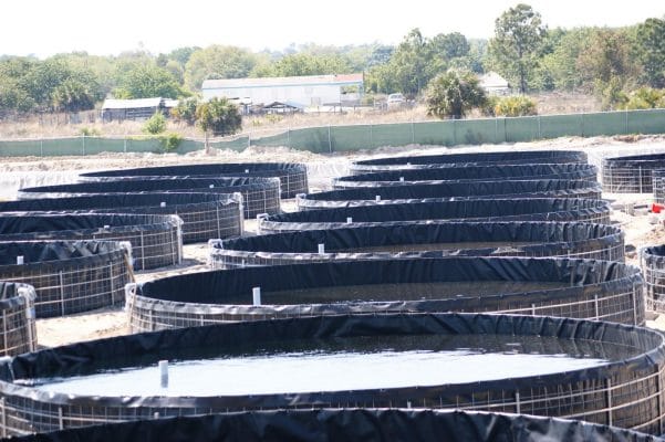 Bể nổi bạt HDPE