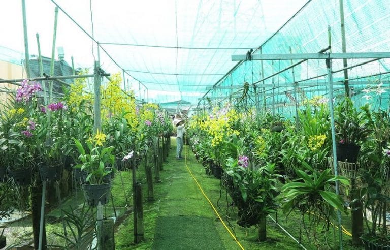 Lưới che lan chống nắng giải pháp hiệu quả
